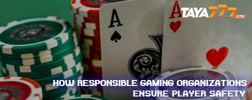 How Responsible Gaming Organizations Ensure Player Safety